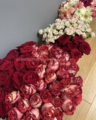 Анкета проститутки София - метро Сокол, возраст - 25